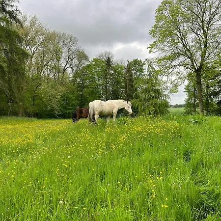 Holiday home Charming In A Northern France Farm Walincourt-Selvigny