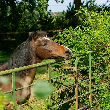Holiday home Charming In A Northern France Farm *